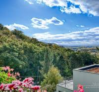 View of the forests from a cabin in Bratislava - Devín with flowers on the balcony.