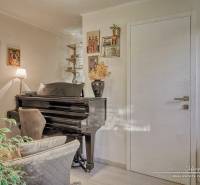 Interior of a family house with a piano, an armchair, and decorative plants, floor with wooden decor.