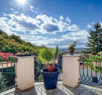 Sunny terrace of the cottage with flowers and a view of the forests in Bratislava-Devínska Nová Ves.