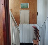 A staircase in a family house with cork walls and a shoe rack.