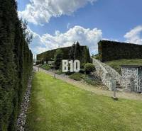 A garden path near the villa in Súľov-Hradná, lined with stones and tall shrubs.