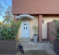 Entrance to the house with white doors, potted plants, and a dog on the terrace.