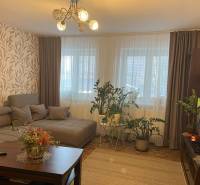 Living room of a two-room apartment with a comfortable sofa, flowers, and a television.