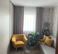 Cozy room in a 2-room apartment with an armchair, sofa, and plants.