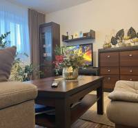 Living room in a two-room apartment with wooden furniture, decorations, and greenery.