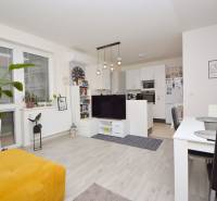 Living room with wood-patterned flooring, a kitchenette, and a dining table in a three-room apartment.