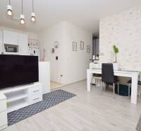 Living room of a 3-room apartment with furniture, TV, and a wooden decor floor.