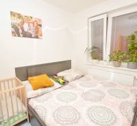 A bedroom in a three-room apartment with a bed, a baby crib, and plants on the windowsill.