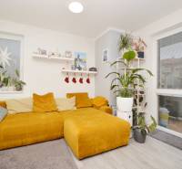 Living room in a three-room apartment with a mustard sofa, plants, and a wooden decor floor.