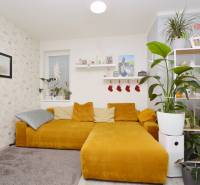 Living room in a 3-room apartment with a sofa, houseplants, and decorative shelves.