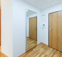 Entrance hall of a 3-room apartment with a wood-patterned floor and a large mirror.