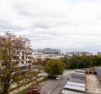 Autumn scenery of Haburská Street in Bratislava - Ružinov, surrounded by trees and buildings.