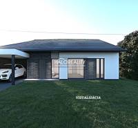 Visualization of a house with a shelter and parking in Kameničná, suitable for residential plots.