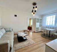 Living room in a two-room apartment with a wooden decor floor and a gray sofa.
