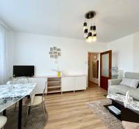 Living room in a 2-room apartment with a wooden decor floor, a sofa, and a dining table.