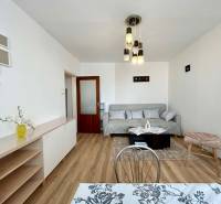 Living room in a two-room apartment with a wooden decor floor and a comfortable sofa.