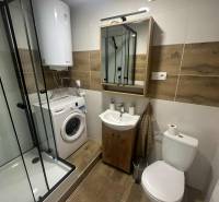 Bathroom in a studio apartment with a washing machine, shower cabin, and floor with wood decor.