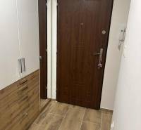 Entrance hallway in a one-room apartment with a wooden decor floor and a wardrobe.