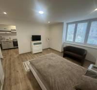 Living room in a one-room apartment with a wooden decor floor and a view outside.