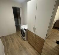 Interior of a 1-room apartment with a washing machine, wardrobe, and wooden decor flooring.