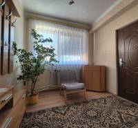 A hallway in a family house with a wooden decor floor, an armchair, and a plant.