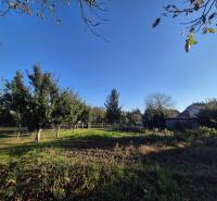 Garden at a family house in Trebišov on Kpt. Nálepku Street with fruit trees.