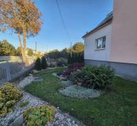 The garden at the family house on Kpt. Nálepku Street in Trebišov with well-maintained greenery and trees.