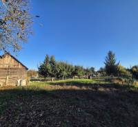 The garden at the family house on Kpt. Nálepku Street in Trebišov with a wooden barn.