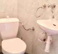 Bathroom in a 4-room apartment with a sink, toilet, and green tiles.