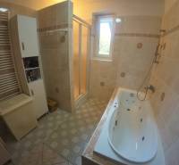 Bathroom with a bathtub, shower, cabinet, and radiator in a family house.