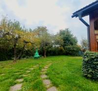 A garden at a family house in Medzev with trees and a lawn with a stone path.