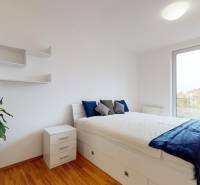 Bedroom in a 2-room apartment with a large bed, a plant, and a floor with a wood decor.
