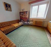 Living room in a 3-room apartment with a sofa, carpet, and furniture with a wooden decor.