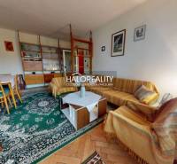 Living room with a sofa and carpet, wooden decor flooring in a 3-room apartment.