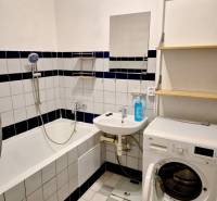 Bathroom with a bathtub, washing machine, and sink in a studio apartment.