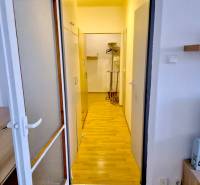 A hallway with a wooden decor floor in a studio apartment with storage spaces.
