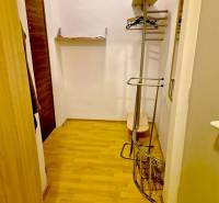 A hallway with a wooden decor floor, a coat rack, and a mirror in a studio apartment.