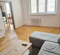 Living room in a one-room apartment with a sofa and a wooden-patterned floor.