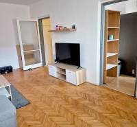 Living room in a studio apartment with wood-patterned flooring and a television on a stand.