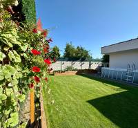 A garden at a family house in Šelpice with a swimming pool and colorful flowers.