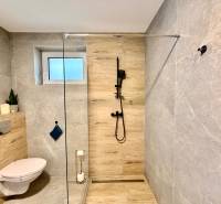 Family house bathroom with a toilet, shower corner, and wooden decor flooring.