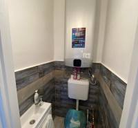 Compact toilet with a sink and floor with wood decor in a 2-room apartment.