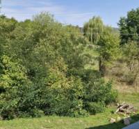 Greenery and a car in the exterior near Hollóháza, suitable for a 2-room apartment.
