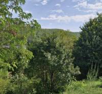 A garden full of trees and shrubs in Hollóháza near a 2-room apartment.