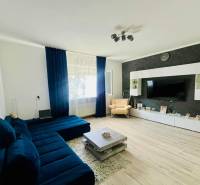 Living room in a three-room apartment with a wood-patterned floor and a dark blue couch.