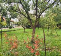 A garden with fruit trees in Göncruszka in the background with a fence. Plots - housing.