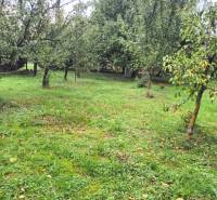 Garden plot with fruit trees in Göncruszka, ideal for residential land.