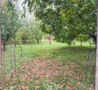 A garden with fruit trees in Göncruszka, suitable for residential plots.