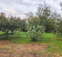 A garden with fruit trees in Göncruszka, ideal for plots - living.