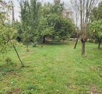 Greenery and fruit trees on the property in Göncruszka, ideal for living.